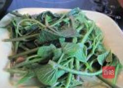 蒜蓉炒番茄叶的做法图解3