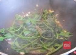 蒜蓉炒番茄叶的做法图解6