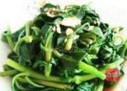 蒜蓉穿心莲的做法图解5