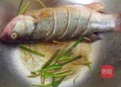 清蒸鲈鱼的做法图解2