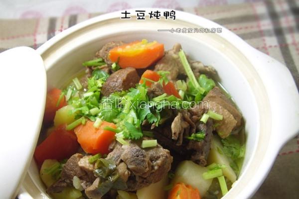 土豆炖鸭