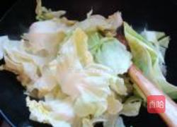 香辣手撕包菜的做法图解6