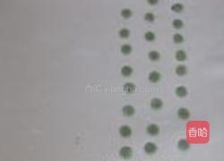 绿色波点馒头的做法图解8