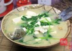 鲫鱼芫荽豆腐汤的做法图解8