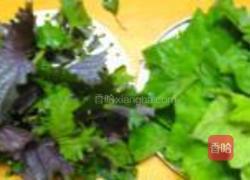 紫苏南瓜叶芝麻饼的做法图解1