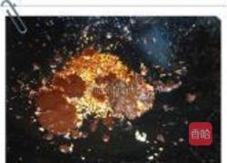 水煮肉的做法图解8