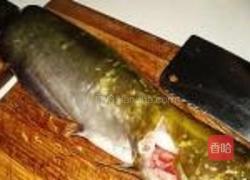 红烧鲶鱼的做法图解1