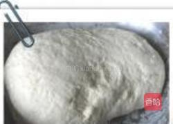 平菇胡萝卜烫面蒸饺的做法图解3