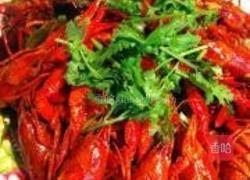 麻辣小龙虾的做法图解7