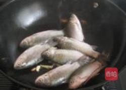 鲫鱼烧田螺的做法图解2