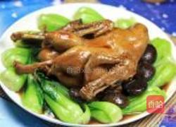 红扒野鸭的做法图解9