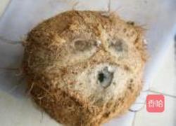 椰子煲老鸡的做法图解4