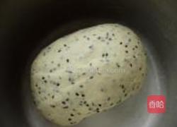 黑芝麻小餐包的做法图解4