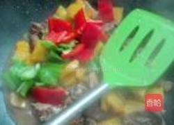 菠萝焖鸭的做法图解10