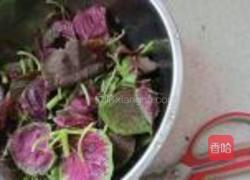 蒸苋菜的做法图解2