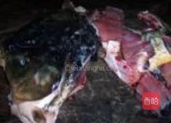 飘香水煮鱼的做法图解8