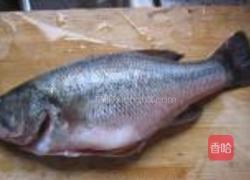 鲈鱼两吃的做法图解1