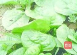 清炒木耳菜的做法图解1