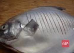 原味焖鲳鱼的做法图解2