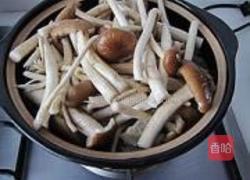 茶树菇牛骨煲的做法图解9