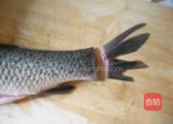 豆豉炸鱼的做法图解2