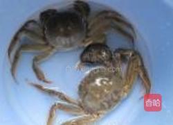 咸蛋毛蟹炒年糕的做法图解1