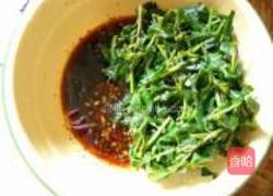 凉拌枸杞尖的做法图解11