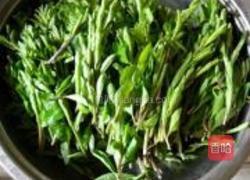 凉拌枸杞尖的做法图解1