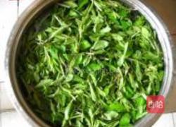 凉拌枸杞尖的做法图解9