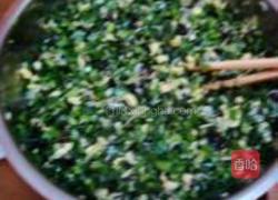 韭菜虾皮鸡蛋水饺的做法图解9