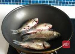 香浓鲫鱼汤的做法图解4