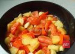 番茄烩牛腩的做法图解5