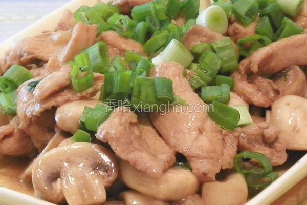 蘑菇炒鸡片