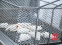 孜然香辣圣诞羊柳的做法图解11