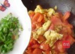 西红柿炒鸡蛋的做法图解8