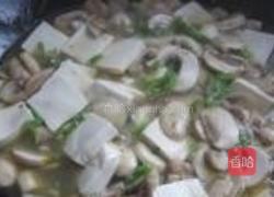 口蘑烩豆腐的做法图解5