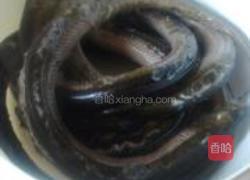 黄鳝饭的做法图解4