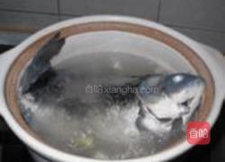 砂锅什锦鲫鱼汤的做法图解2