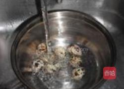 砂锅什锦鲫鱼汤的做法图解5