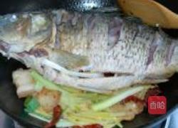 红烧鲤鱼的做法图解9