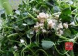 清炒草头的做法图解2
