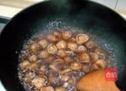 蚝油烧草菇的做法图解11