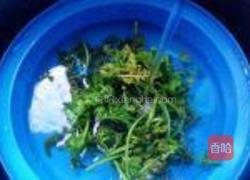 蕃茄炒水蕨菜的做法图解3