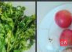 蕃茄炒水蕨菜的做法图解1