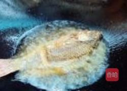 小蕃茄烧罗非鱼的做法图解5