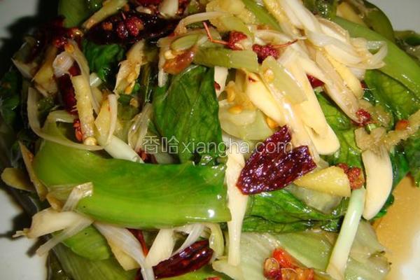 炝生菜