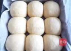 小麦胚芽餐包的做法图解10