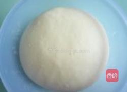 小麦胚芽餐包的做法图解3