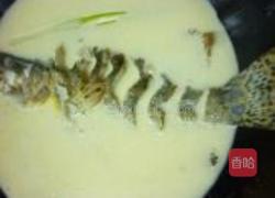 上汤秧草鳜鱼的做法图解7