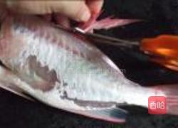 大眼鸡煮番茄的做法图解4